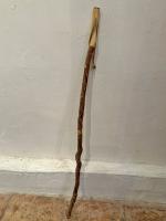 French Walking Stick by 