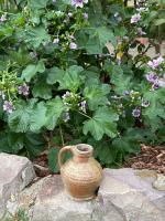 Small French Terra Cotta Cruche by 