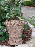 French Wicker Waste Paper Basket by 