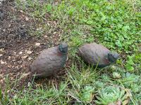 Pair of French Decorative Iron Quail by 