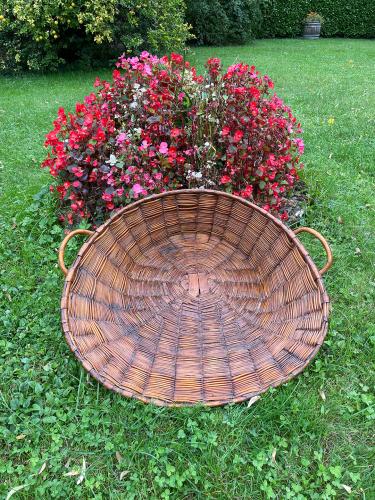 French Reed Grain Basket by 